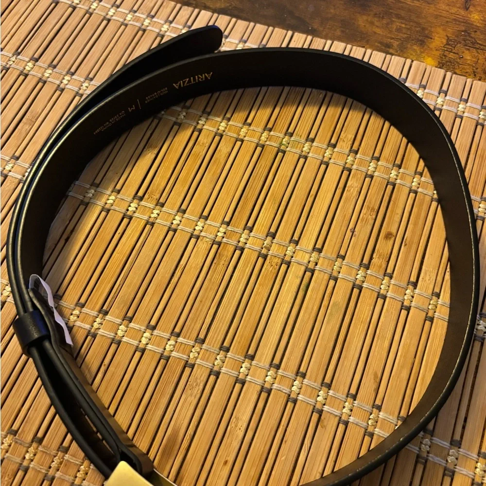 Aritzia Pillar Solid Brass Leather Belt in Black/Gold Size M - worn once